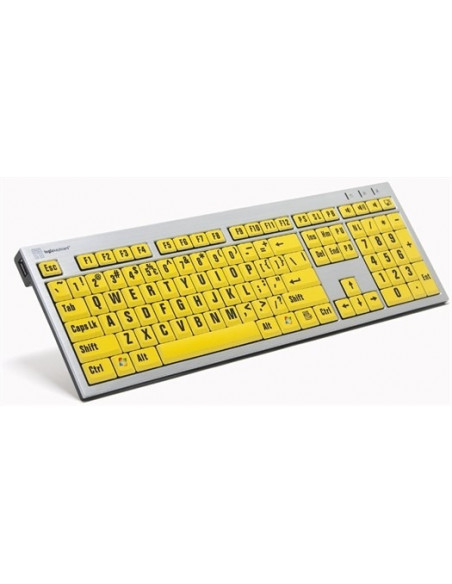 Adesivi tastiera PC per meccanica tastiera tasti grandi lettere stile  C13-C15 -  Italia